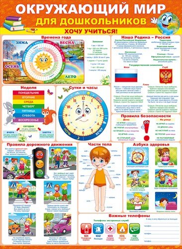 плакат окружающий мир для дошкольников купить в Чебоксарах