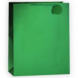 Пакет подарочный Однотонный Зеленый, 31*42*12 см купить в Чебоксарах