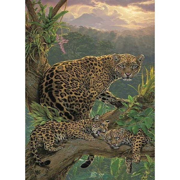Картина по номерам 30 х 40 Семья леопардов купить в Чебоксарах