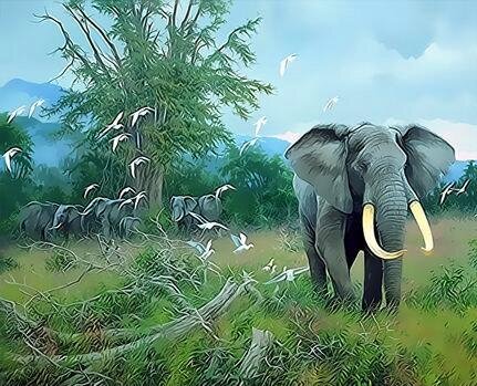 Картина по номерам 30 х 40 Слоны в африканской саванне купить в Чебоксарах