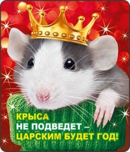Виниловый магнит "Крыса не подведёт.." купить в Чебоксарах