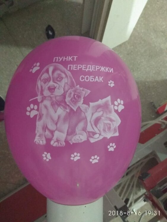 Печать логотипа (брендирование) на воздушных шарах Собаки купить в Чебоксарах