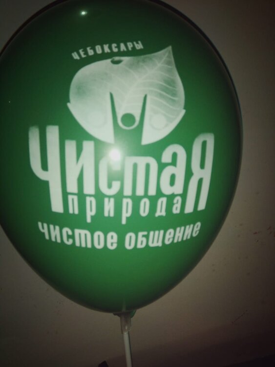 Печать логотипа (брендирование) на воздушных шарах природа купить в Чебоксарах
