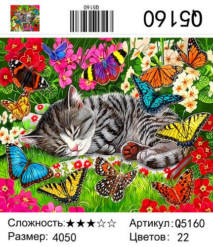 Картина по номерам 40х50 Спящий котенок купить в Чебоксарах