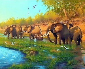 Картина по номерам 40х50 Слоны на водопое купить в Чебоксарах