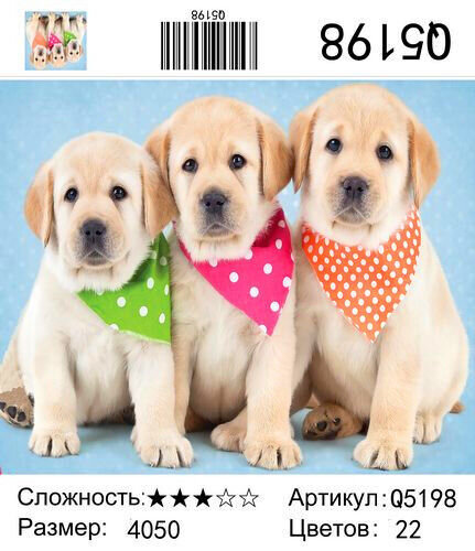 Картина по номерам 40х50 Милые щенки купить в Чебоксарах