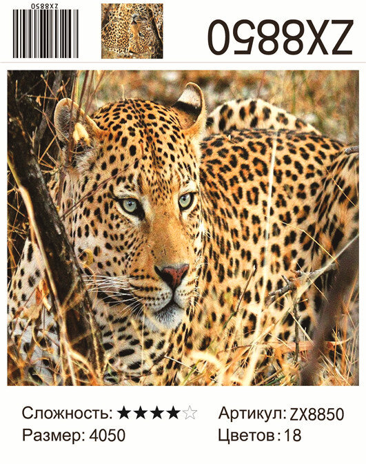 Алмазная живопись 40х50 Леопард купить в Чебоксарах