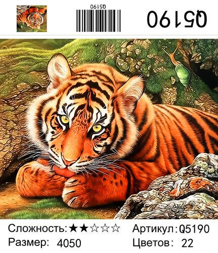 Картина по номерам 40х50 Малыш тигренок купить в Чебоксарах