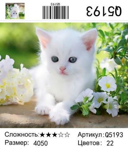 Картина по номерам 40х50 Белый котенок купить в Чебоксарах