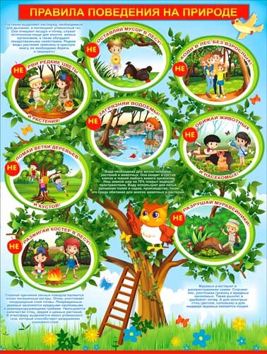 плакат Правила поведения на природе купить в Чебоксарах
