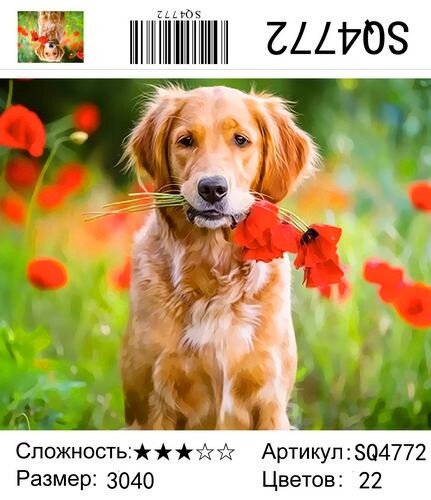 Картина по номерам 30 х 40 Симпатичный пес с цветами купить в Чебоксарах