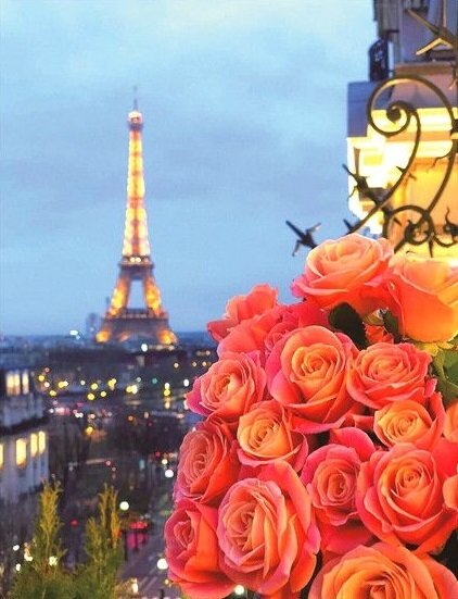 Алмазная живопись 40х50 Париж и розы купить в Чебоксарах